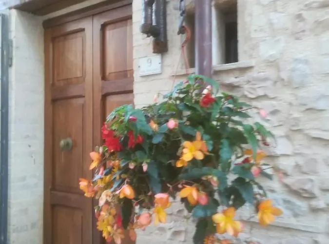 Lägenhet La Scuola Del Castello Localita San Giovanni Spello San Giovanni (Perugia)